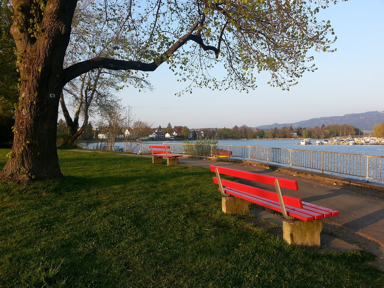 這給主帥阿 這給主帥阿