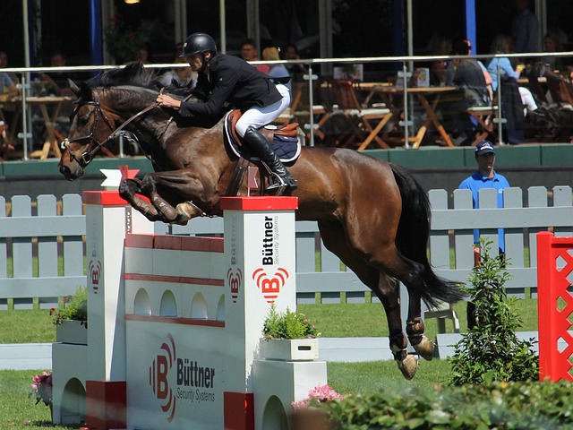 琼斯在与新 琼斯在与新