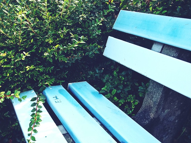 扎卡的紅牌 扎卡的紅牌