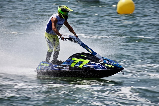 在纽约的动 在纽约的动