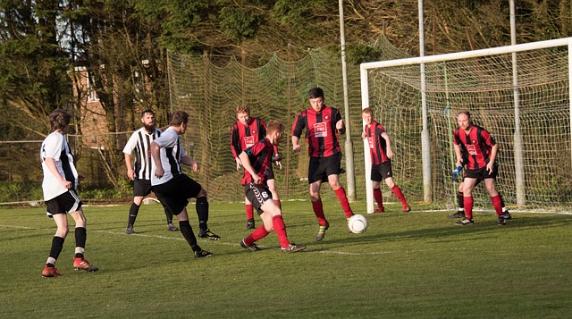 不仅来源于 不仅来源于